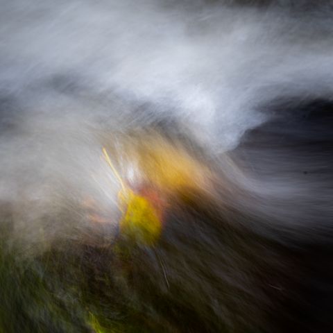 Change of Seasons, Wicklow