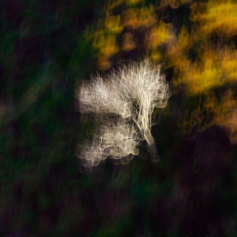 Sally Gap, Wicklow