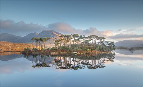 Pine Island, Derryclare Lough