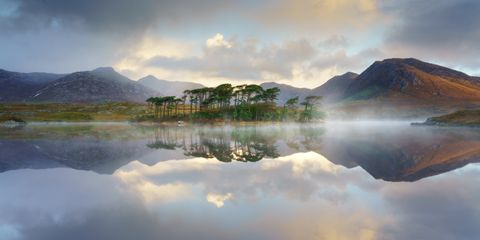 Pine Island, Derryclare Lough