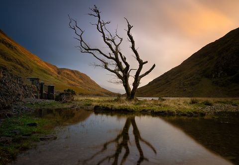 Lone Tree, Doo Lough