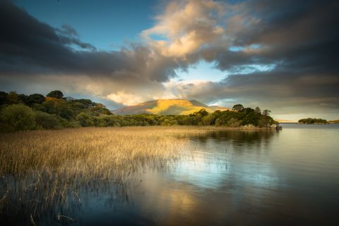 Muckross Lake, Killarney