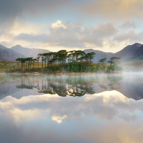 Pine Island, Derryclare Lough