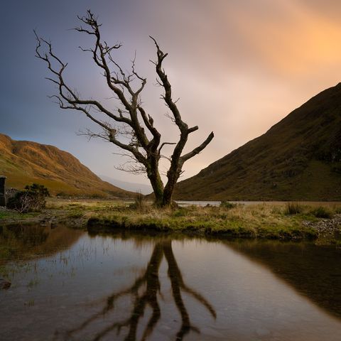 Lone Tree, Doo Lough