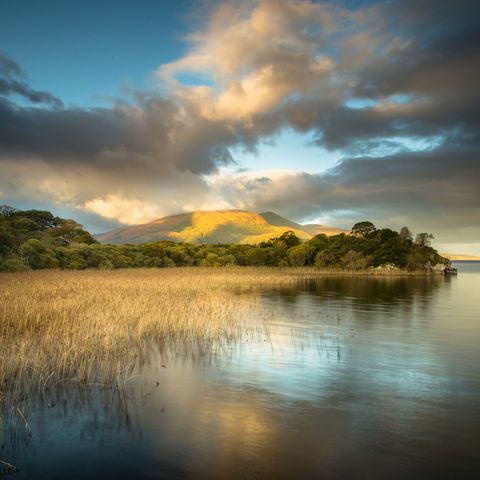 Muckross Lake, Killarney