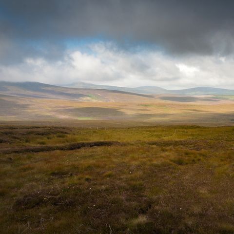 Sally Gap, Co. Wicklow