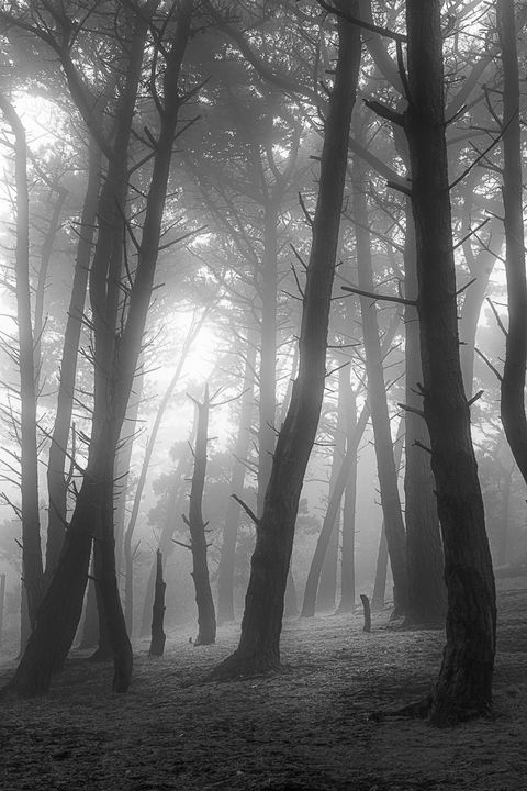 Killiney Hill