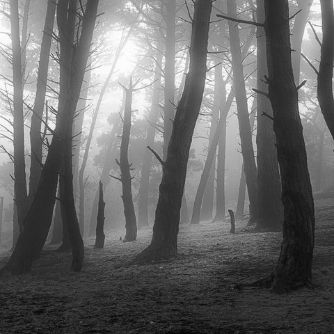 Killiney Hill